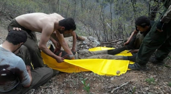 320 PKK'lı terörist etkisiz hale getirildi