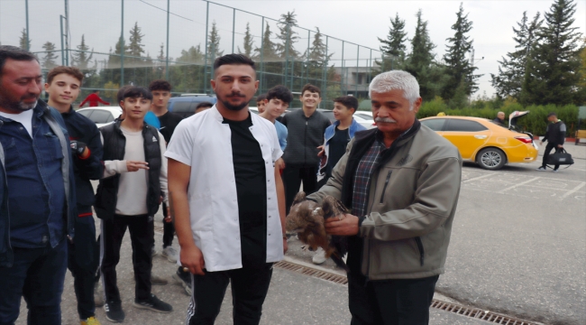 Adıyaman'da okul bahçesinde bulunan atmaca koruma altına alındı