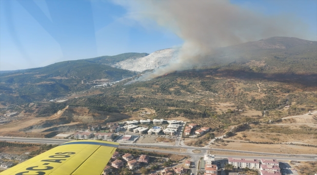 Aydın'da makilik alanda yangın çıktı