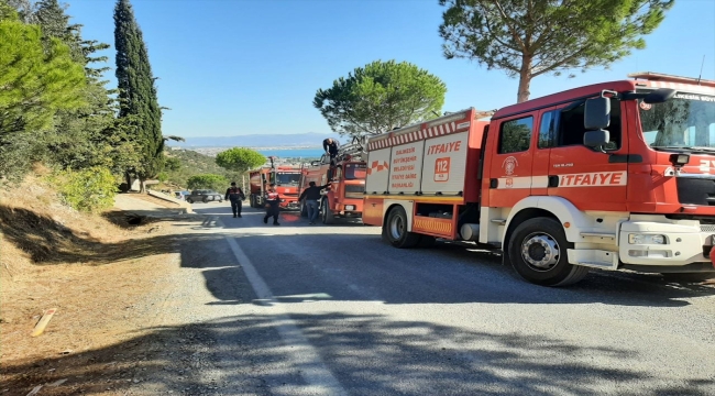 Balıkesir'de zeytinlik alanda çıkan yangın söndürüldü