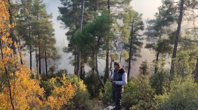 Burdur'da çıkan orman yangını kontrol altına alındı