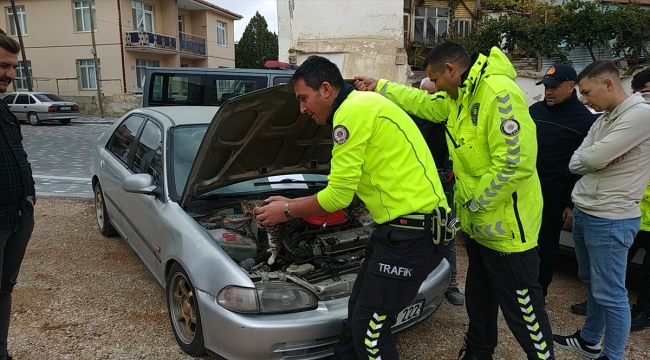 Karaman'da araçların motor kısmına giren yavru kedi kurtarıldı