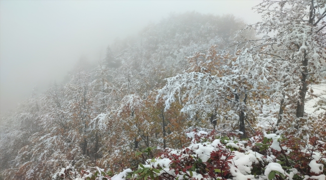 Rize, Bayburt, Artvin, Giresun ve Ordu'nun yüksek kesimlerine kar yağdı