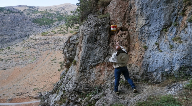 Zirvedeki "kaya balı"na profesyonel dağcılarla ulaştılar