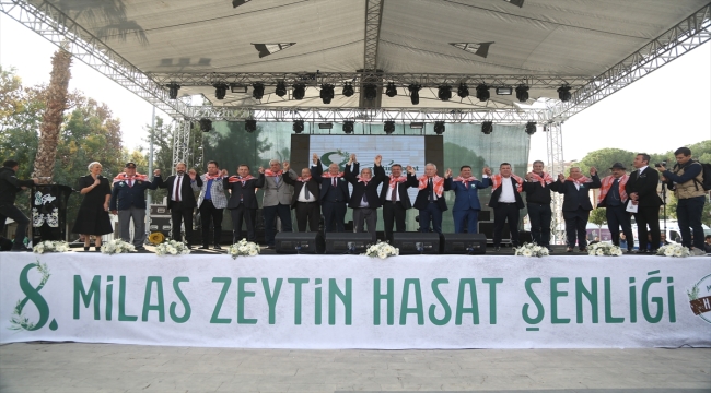 8. Milas Zeytin Hasat Şenliği başladı