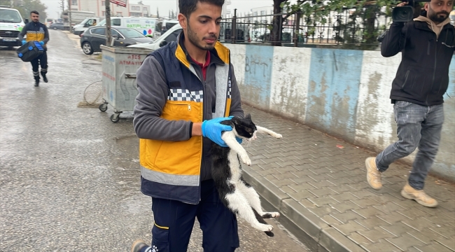 Adıyaman'da sahipsiz hayvanlara kuduz aşısı yapılıyor