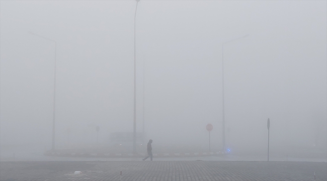 Amasya'da sis etkili oldu