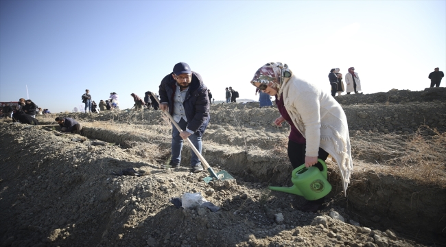 Anadolu Ajansı çalışanları 320 fidan dikti