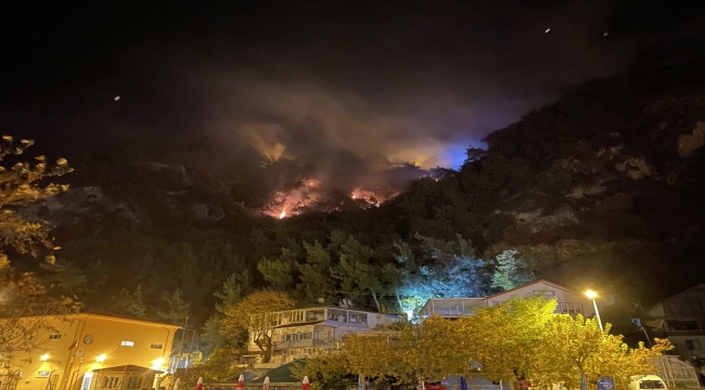 Bartın'da çıkan orman yangınına müdahale ediliyor