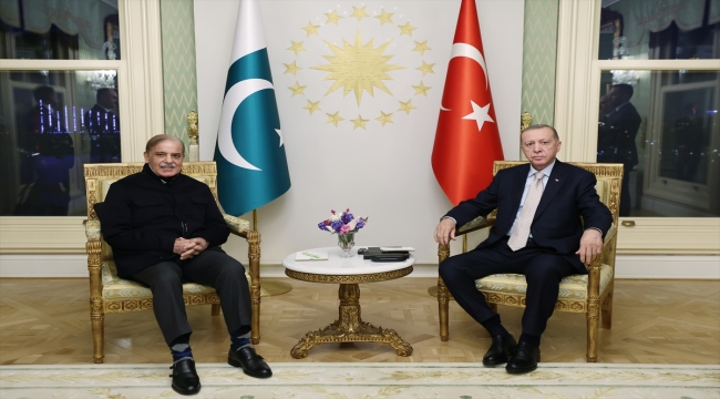 Cumhurbaşkanı Erdoğan, Pakistan Başbakanı Şerif ile görüştü