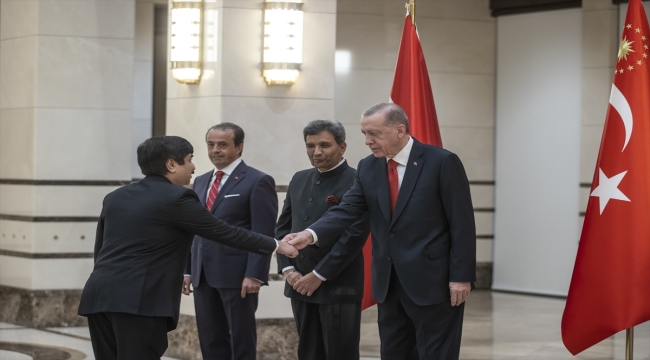 Hindistan Büyükelçisi Paul, Cumhurbaşkanı Erdoğan'a güven mektubu sundu