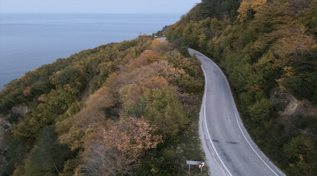 Karadeniz kıyısındaki ormanlarda sonbahar renkleri havadan görüntülendi