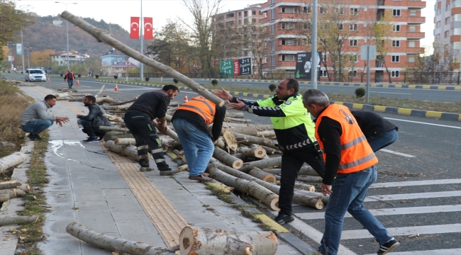 Kastamonu'da devrilen römorktaki tomruklar yola saçıldı