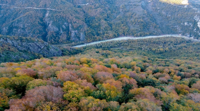 Kastamonu'daki Loç Vadisi ziyaretçilerini sonbahar renkleriyle ağırlıyor