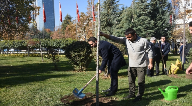 "Milli Ağaçlandırma Günü" kapsamında Dışişleri Bakanlığı bahçesine 44 fidan dikildi