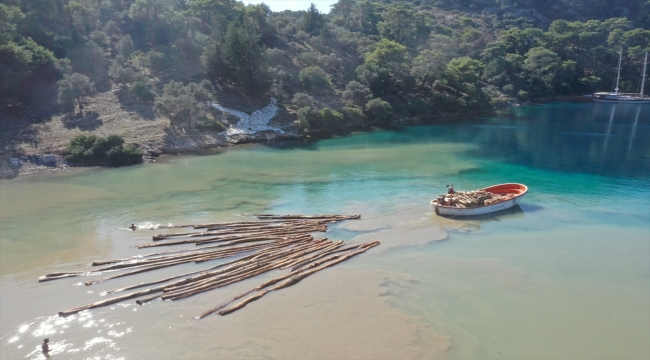 Muğla'da karadan ulaşımın olmadığı noktalarda kesilen ağaçlar tekneyle taşındı