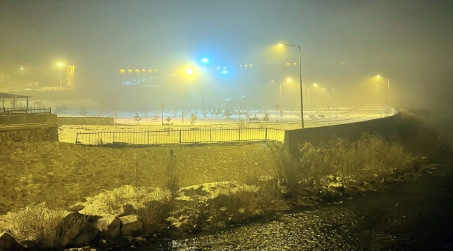 Ardahan'da yoğun sis devam ediyor