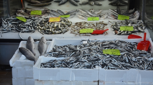 Batı Karadeniz'de hamsi tezgahların gözdesi oldu