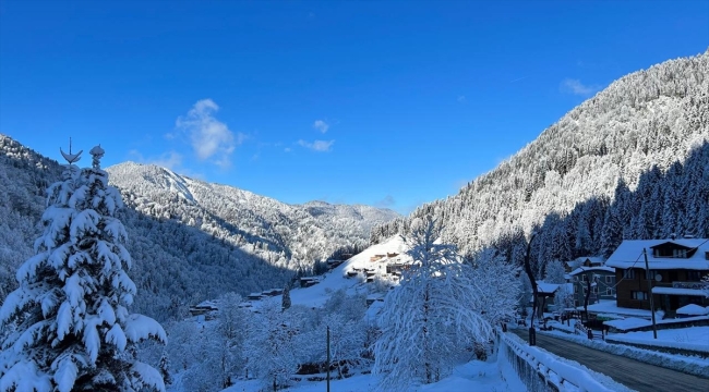 Doğu Karadeniz'deki turizm tesisleri yılbaşına hareketli girecek