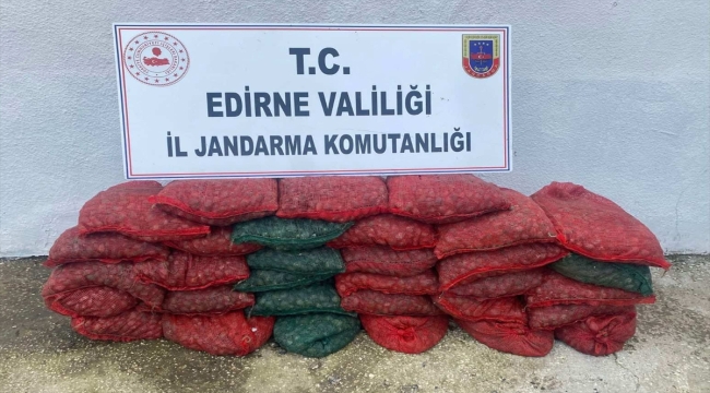 Edirne'de 1 ton kum midyesi ile yakalanan 2 kişiye 297 bin lira ceza 