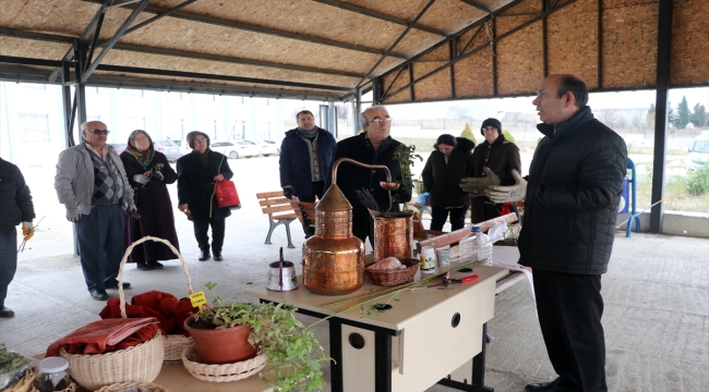 "Edirne kırmızısı"na rengini veren bitkiden yüksek verim elde ediliyor