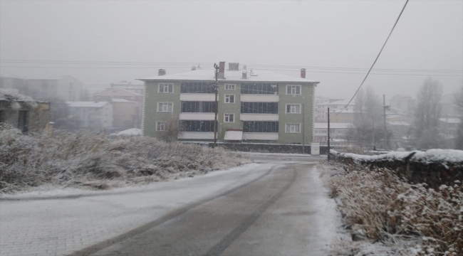 Erzurum, Ardahan ve Kars'ta kar, soğuk hava ve sis etkili oluyor