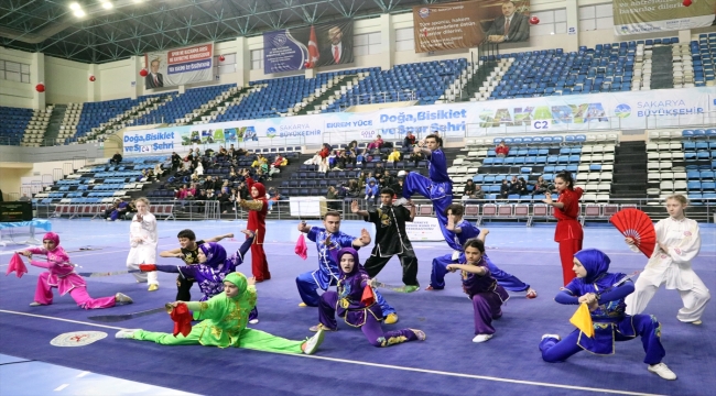 Geleneksel Wushu Kung Fu Türkiye Şampiyonası Sakarya'da tamamlandı