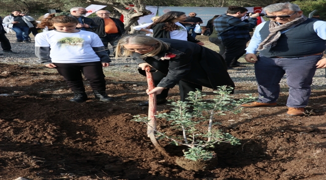 İzmir'de kadın girişimiyle kuraklığa dayanıklı sakız fidanları dikildi