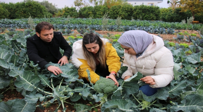 Mersin'de özel öğrenciler dikimini yaptıkları sebzeleri hasat etti 