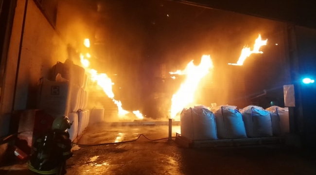 Muğla'da balık yemi fabrikasında yangın başladı