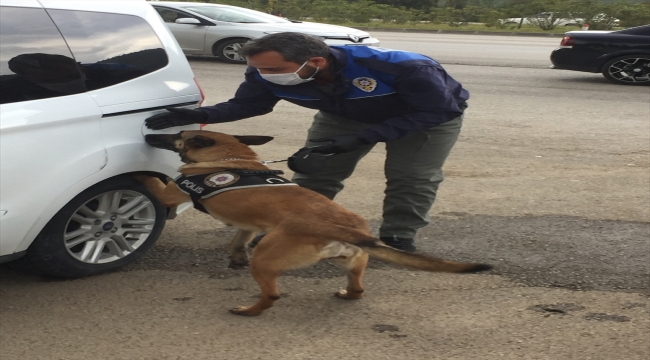 Muğla'da salça bidonuna gizlediği uyuşturucuyla yakalanan kişi tutuklandı