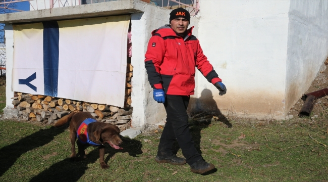 Tokat'ta 14 gündür kayıp olan kadın dedektör köpeklerle arandı