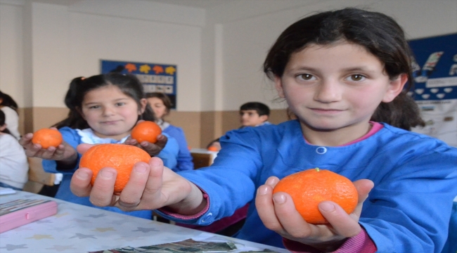 Aydın'da öğrenciler, okul bahçesinde yetiştirdikleri meyveleri Sarıkamışlı çocuklara gönderdi