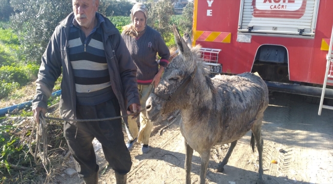 Hatay'da sulama kanalına düşen eşeği itfaiye kurtardı