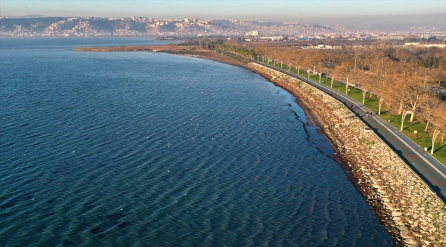 İzmit Körfezi'nde kırmızı ve sarı renkli yosun birikintisi görüldü