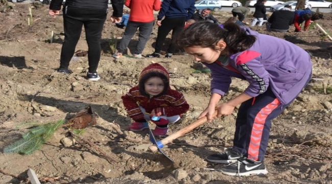 KKTC'li askerler ve aileleri, yanan ormanlık alana 5 bin fidan dikti