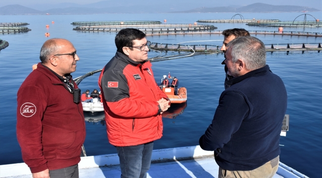 Muğla'da "balık avı turları" denetlendi