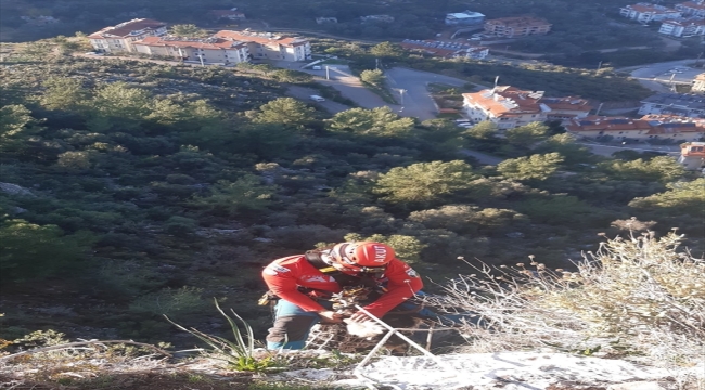 Muğla'da kayalıklarda mahsur kalan keçi AKUT ekibince kurtarıldı