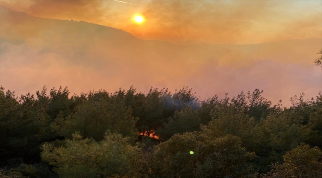 Osmaniye'de çıkan orman yangınına müdahale ediliyor