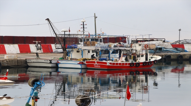 Tekirdağ'da balıkçılar sis nedeniyle denize açılamayınca balık fiyatları arttı