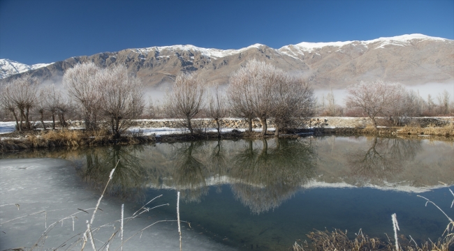 Tunceli'de ağaçlar kırağı tuttu, karlı dağların zirvesi sisle kaplandı