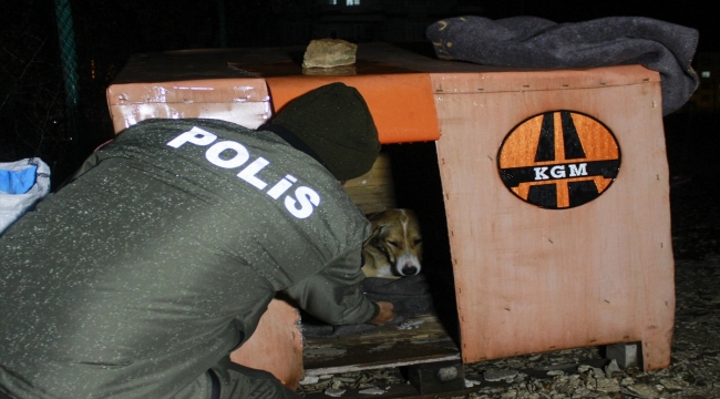 Uşak'ta polis ekipleri sokak hayvanlarını besledi