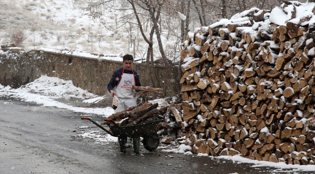 Van ve Bitlis'te kar yağışı etkisini gösterdi