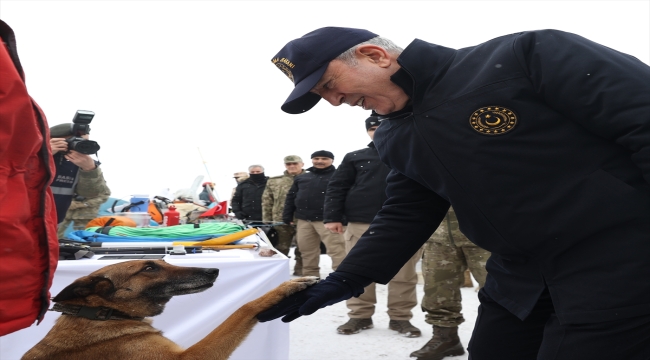 Arama-kurtarma köpeği Sıla, Malatya'daki enkazlardan 12 kişinin kurtarılmasını sağladı