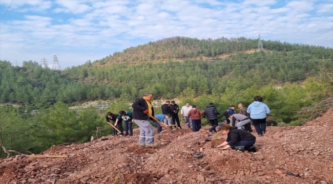 Ege ve Marmara Çevreci Belediyeler Birliği Encümeni Marmaris'te fidan dikti