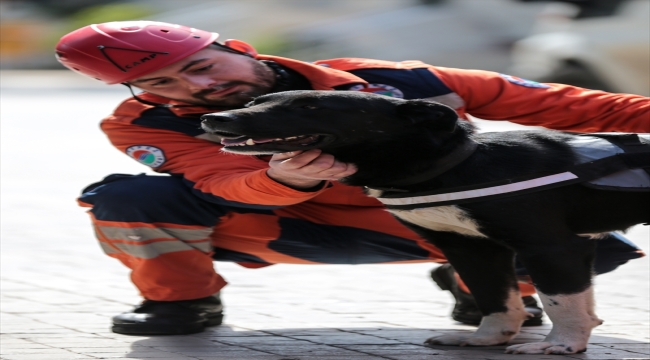 Enkazdan çıkarılan köpek kendisini sahiplenen ekiple hayat kurtaracak