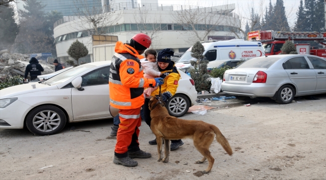 Hassas burunlu köpek "Alfa" depremzedelere umut oldu