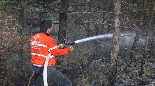 Kastamonu'da ormanlık alanda çıkan yangın söndürüldü