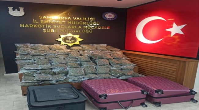 Şanlıurfa'da 59 kilo 650 gram skunk ele geçirildi