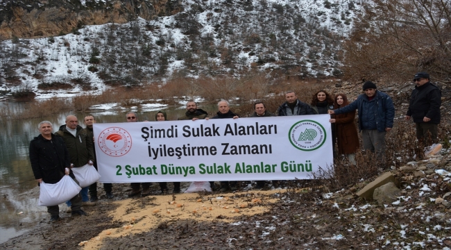 Tunceli'de su kuşları için Uzunçayır Baraj Gölü kıyısına yem bırakıldı